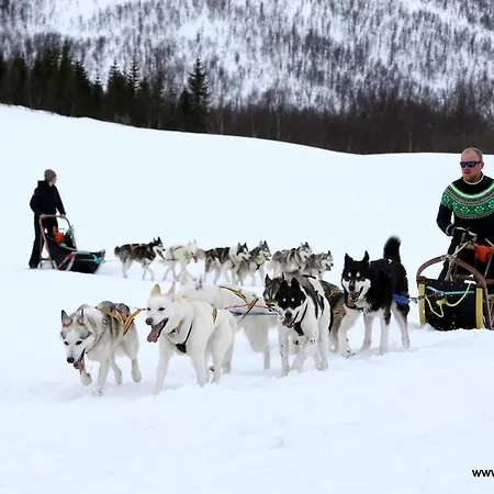 Skagi Bed & * Skaland